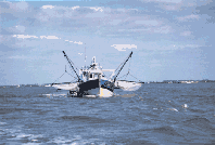 Fischerboot vor der Insel Oleron, Frankreich